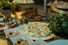 J12. CA BRIVE - COLOMIERS RUGBY