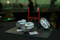 CAB-Colomiers_Av-match-Derichebourg-7574