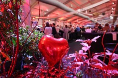 CAB-SU-Agen_avant-match_Derichebourg-3340