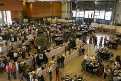 CAB-Toulouse-Top14_av-match-Espaces-3P-1476