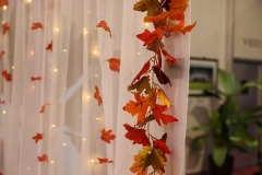 CAB-SAXV_Derichebourg-3158