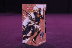 CAB-SAXV_Derichebourg-3482